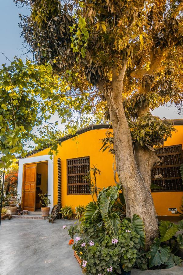 Luchy'S Country House Hostel Ica Luaran gambar