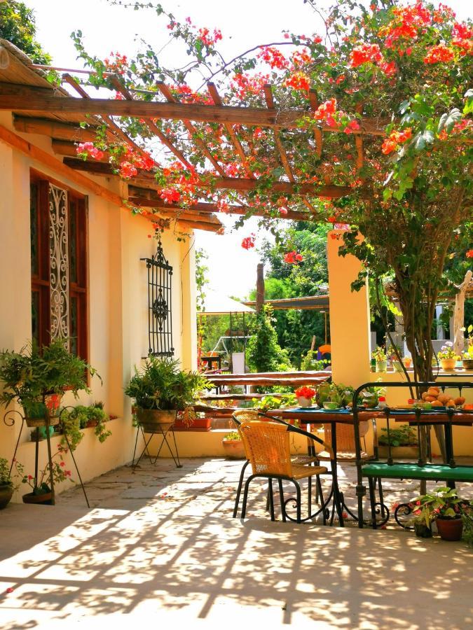 Luchy'S Country House Hostel Ica Luaran gambar