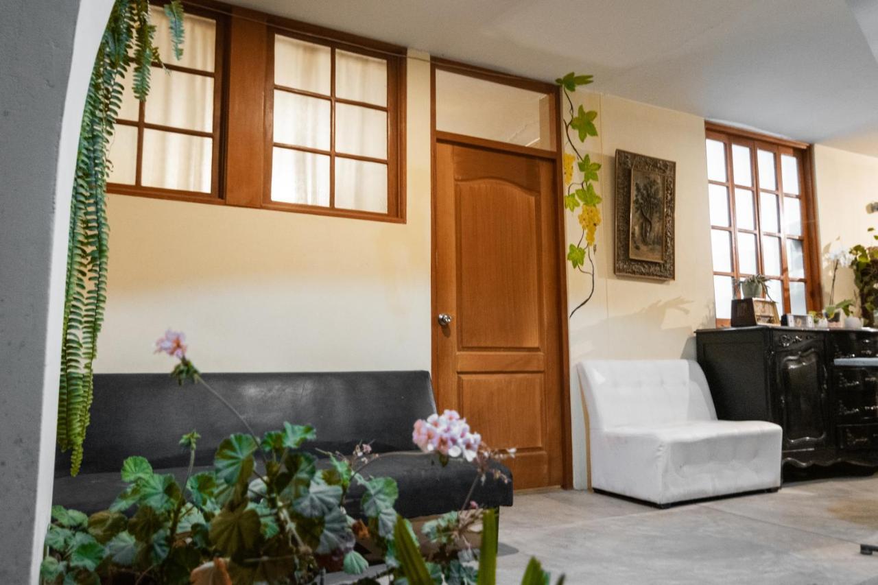 Luchy'S Country House Hostel Ica Luaran gambar