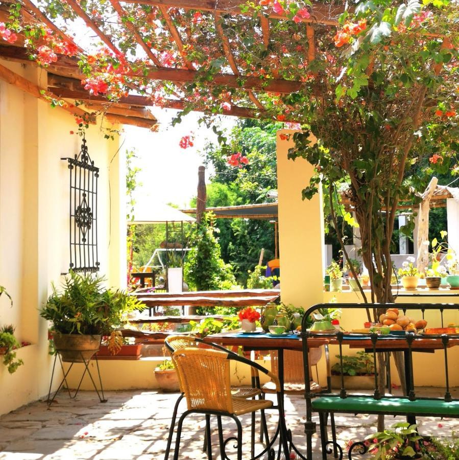 Luchy'S Country House Hostel Ica Luaran gambar