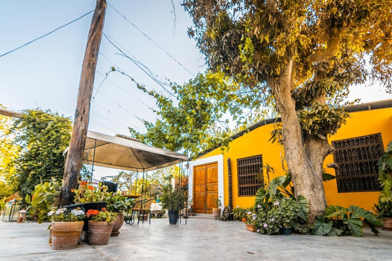 Luchy'S Country House Hostel Ica Luaran gambar